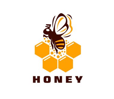 Bal arısı ikonu, arıcılık ve arı ürünleri amblemi. Sarı altıgen taraklar içinde bir arı ile izole vektör etiketi ve koyu kahverengi tip, doğa, tarım ve sürdürülebilirlik temaları vurgulanıyor