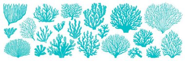 Deniz ve okyanus mercanları ve deniz yosunları siluet ya da iz, vektör simgeleri. Deniz altı ya da su altı mercan resifleri, mercanlar ve aktinyum çiçekleri deniz deseni ya da dekorasyon için karikatür veya su altı bitkileri