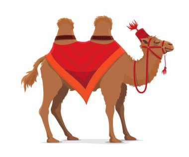 Çadır sirkinin devesi, lunaparktaki çizgi film karakteri, vektör ikonu. Sirk evcilleştirilmiş hayvan, çocuk sirki ve çizgi film karakteri için Arap şapkalı komik deve.