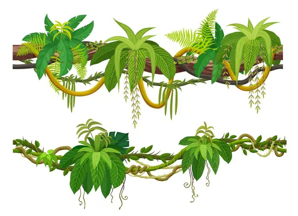 stock vector Tropical jungle forest liana and vine branch of ivy creeper plant, cartoon vector. Tropical rainforest liana and Amazon jungle bindweed tree with climbing and hanging green leaves of forest hedera