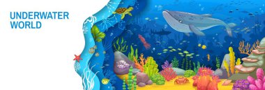 Kağıt karikatür balina ve deniz yosunlarıyla sualtı manzarasını keser. Mürekkep balığı, yengeç, kaplumbağa, tropikal deniz yosunları ve 3D çerçeveli mercan resifleri gibi deniz hayvanlarının taşıyıcı pankartıdır.