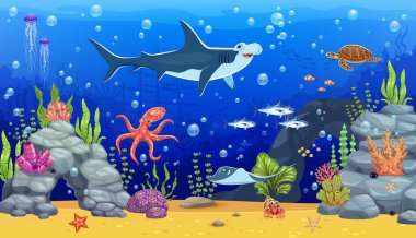 Çekiç başlı köpekbalığı, ahtapot ve diğer deniz hayvanlarıyla dolu sualtı manzarası ve mercan ve yosun arasında balık sürüsü. Karikatür vektör okyanus tabanı çeşitli deniz canlıları, batık gemi, kabarcıklar ve kayalar