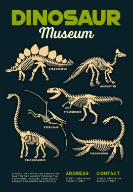 Tarih öncesi dinozor fosilleri ve Stegosaurus, Brachiosaurus, Pterodactyl ve Tyrannosaurus türlerinin iskeletlerinin yer aldığı dinozorlar müzesi posteri. Vector vintage broşürü antik yaratıkları keşfetmeye davet ediyor