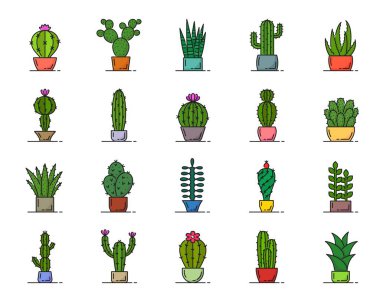 Color Mexican cactus succulent line icons. Vector set of potted desert home cacti plants. Colorful spiky houseplants like barrel and prickly pear cactus, sansevieria snake plant, saguaro and aloe vera clipart