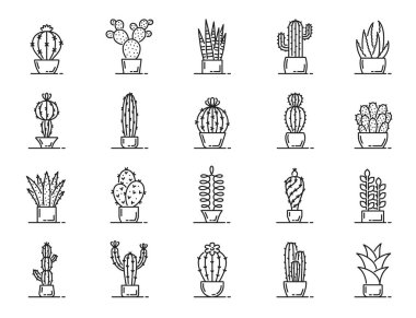 Kaktüs sulu çizgi simgeleri. Fıçı ve dikenli armut kaktüsü, sansevieria yılan bitkisi, saguaro ve aloe vera gibi doğrusal çöl bitkilerinin vektör seti. Totem direği, top, mammillaria ve echeveria
