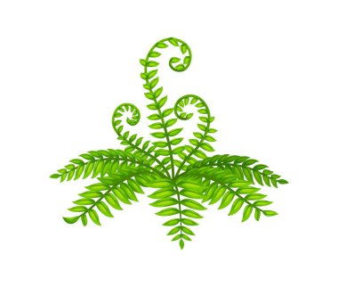 Yeşil eğreltiotu, tropikal, karmaşık yapraklı ve sarmal yapraklı bitki. Doğanın karikatür vektör elementi, orman florası ve tarih öncesi çevre. İzole edilmiş yemyeşil tropikal yeşillik, bitki örtüsü oyunu varlığı