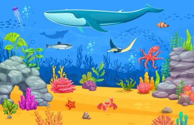 Dev balina ve manta vatozu, ahtapot, denizanası ve çeşitli balıkların okyanus tabanındaki canlı mercan resifleri, kayalar ve deniz bitkileri arasında yüzdüğü oyun sualtı manzarası. Çizgi film vektör deniz sahnesi