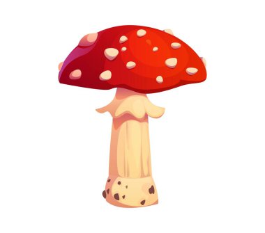 Çizgi film Amanita Muscaria sonbahar mantarı, canlı kırmızı benekli ve beyaz saplı. İzole edilmiş vektör orman mantarı, orman ekosistem santrali. Sinek mantarı, biyolojik çeşitlilik türleri