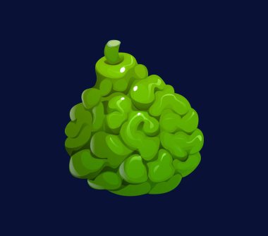 Çizgi film bergamot meyvesi, izole edilmiş vektör taze narenciye bergami tropik bitki. Buruşuk yeşil kabuklu doğal egzotik meyve. Erimiş sağlıklı organik ürün, narenciye aromalı ve doğal enerjili.