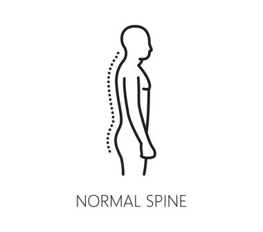 Kayropraktik tıp çizgisi ikonu. Normal bir insan omurgasının yan görüntüsünü gösteren vektör doğrusal işareti. Kayropraktik, tıbbi ya da sağlık hizmetleri tek renkli sembolü uygun kas iskeleti duruşunu vurgular