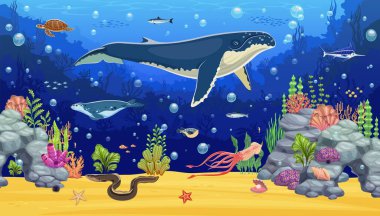 Mavi balina ve deniz hayvanlarıyla birlikte sualtı oyun alanı. Renkli mercan resifleri ve deniz yaşamı, balık, kaplumbağa ve mürekkep balığı arasında yüzen görkemli ispermeçet balinası sahnesi.