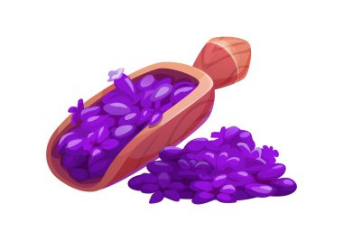 Karikatür ahşap kepçe lavanta çiçeği yapraklarıyla dolu, bazıları etrafa saçılmış, doğa ve rahatlama hissi uyandırıyor. İzole edilmiş vektör canlı mor aromalı kozmetik bitkiler ya da çiçekler.