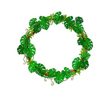 Orman canavarı yaprakları ve liana yuvarlak çerçevesi. Tropikal orman asma ağacı yaprağı izole edilmiş çizgi film taşıyıcı çerçeve, Afrika yağmur ormanı sarmaşık sarmaşığı liana dalı, sarmaşık bitki çemberi