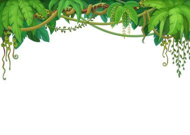 Orman ormanı liana dalları ve tropik sarmaşık sarmaşığı çerçevesi, vektör boş arkaplan. Tropikal yağmur ormanları canavar yaprağı bitkisi ya da orman bitkisi ve sınır çerçevesinde filizleri tırmanan yosun ağacı.