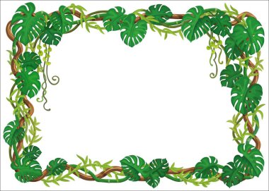 Lianalar ve yeşil canavar yapraklarıyla tropik orman iskeleti, vektör arkaplan. Çizgi film dekorasyonu için yeşil yapraklı sarmaşık sarmaşık dalları.