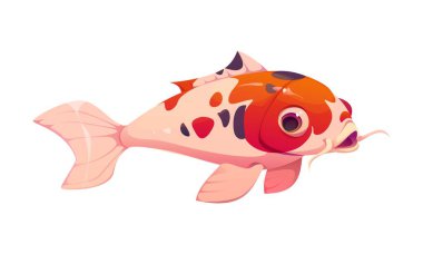 Koi balığı Çin 'in yeni yıl tatili karakteri kırmızı, siyah ya da beyaz işaretli şans, azim ve başarıyı simgeliyor. Çizgi film nishikigoi hayvanı, Asya kültürünün geleneksel sembolü.