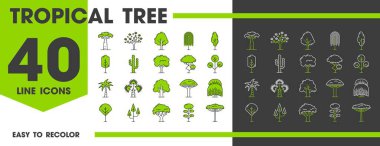 Tropik orman ağaçları orman palmiyeleri ve baobab 'ın simgeleri, vektör sembolleri. Yağmur ormanları ve Amazon veya Afrika ağaçlarının hindistan cevizi palmiyesi, bonsai ve yaprak bitkileri ikonları