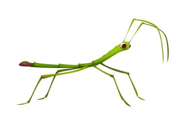 Cartoon funny stick insect character with exaggerated limbs and vibrant green color. Isolated vector funny Phasmatodea tropical bug or pest, fauna creature with long legs and antennas for camouflage clipart