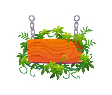 Tropikal orman lianalı tahta tabela. Karikatür vektör asma işareti, yemyeşil sarmaşıklar ve yapraklarla süslenmiş, metal zincirlerle asılmış. Çalı ağacından yapılmış tropikal çerçeve veya kenar