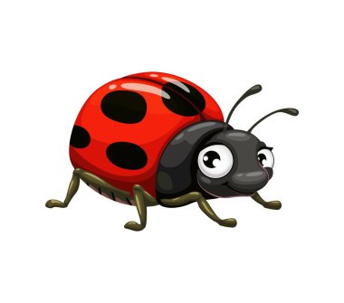 Cartoon funny ladybug insect character. Isolated vector cute and vibrant ladybird bug personage with a cheerful expression, shiny red shell featuring black spots, expressive eyes, and playful antennae clipart