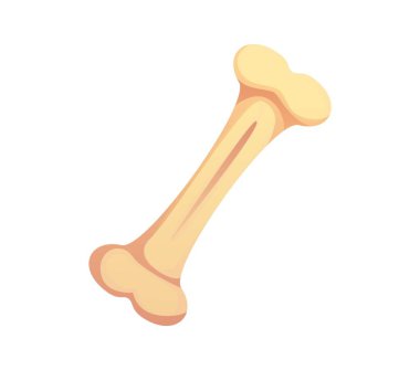 Karikatür Meksika yazı tipi kemik noktalama işareti. Meksika festivali Latin alfabe noktalama işareti. Ölü tatil vektör yazı tipi öğesi ya da Latin Amerika fiesta özel simge dizisi