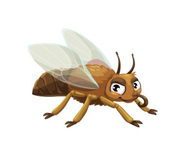 Çizgi film komik böcek karakteri ya da çocuklar için maskotluk, izole edilmiş vektör. Çizgi film böceği ya da at sineği ve yüzünde gülücük ve şaşı gözler olan sinek böceği, küçük şirin sinek böcek.