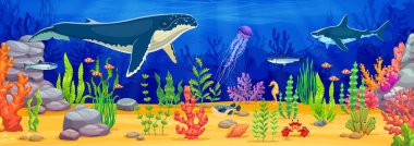 Deniz manzarası, karikatür hayvanları, dev balina, balık, köpekbalığı ve denizanalarının okyanus tabanındaki canlı mercan resifleri, kayalar ve deniz bitkileri arasında yüzdüğü su altı oyun geçmişi. Vektör deniz sahnesi