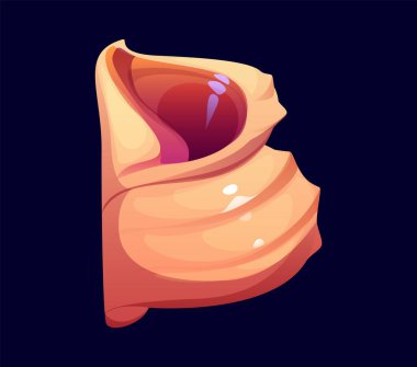 Resif deniz kabuğu çizgi film yazı tipi B. Deniz kabuğu yazı tipi işareti, okyanus kabuğu vektör yazı tipi. Mercan resifi deniz kabuğu çocukları ABC yazı tipi sembolü veya İngiliz alfabesi tipi element