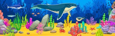 Sperm balinası ve sualtı manzarasında balıklar, karikatür deniz hayvanları, mercanlar ve deniz yosunlarıyla vektör oyun geçmişi. Şirin balina, yengeç, mavi kılıçbalığı ve denizyıldızı okyanus tabanında sualtı manzarası