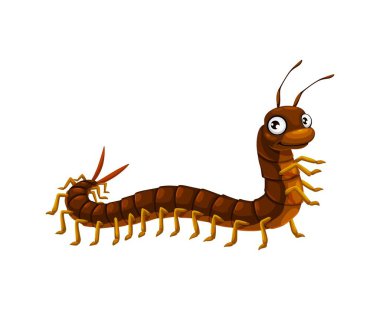 Çizgi film komik kırkayak böcek karakteri. Uzun bacaklı, çok bacaklı, izole vektör kişiliği olan sevimli bir böcek ya da hayvan. Zehirli kırkayak ya da eklem bacaklı eklembacaklı komik karakter ya da çizgi film maskotu