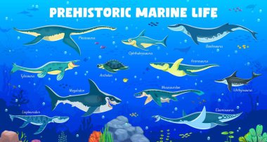 Tarih öncesi sualtı dinozorları karakterleri içinde su sürüngeni türleri olan bilgi grafikleri, vektör müzesi posteri. Tarih öncesi deniz dinozorları ve okyanus sualtı sürüngenleri. Dinozor bilgi grafikleri için isimleri var.