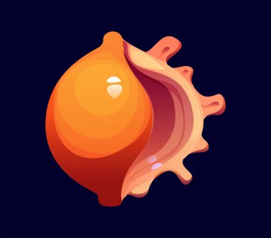 Resif deniz kabuğu çizgi film 0-0 rakamı. Deniz kabuğu yazı tipi rakam, mercan resifi deniz kabuğu vektörü matematik figürü. Sualtı yumuşakçaları midye çocukları ABC yazı tipi numarası veya alfabe yazı tipi sayı sembolü