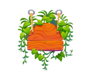 Tahta levhalar orman sarmaşıklarıyla iplere asılı. Bilgi asılı ahşap işaret direği, izole çizgi film vektörü boş tabela ya da sarmaşık çalılı yol afişi ormanı ya da liana bitkisi yaprakları ve dalları