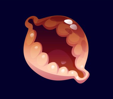 Plaj deniz kabuğu yazı tipi harfi Q. Mercan resifi kabuk sembolü, okyanus midyesi karikatür vektör işareti. Deniz kabuğu İngilizce yazı tipi harfi veya ABC yazı tipi elementi