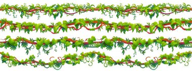 Orman, tropikal liananın dikişsiz dalları. Tropikal yağmur ormanı flora eğreltiotu dalı izole edilmiş vektör dikişsiz altı çizgisi ya da ayırıcısı. Orman tırmanma liana çalı, Amazon doğa sarmaşık sınırları