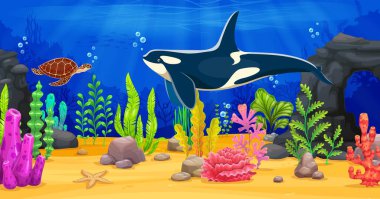 Katil balinalar, deniz yosunları ve deniz kaplumbağalarıyla su altı oyun geçmişi. Bilgisayar veya mobil oyun seviyesi tasarım arka planı veya okyanus altı dünya manzaralı duvar kağıdı, hayvan karakterleri ve bitkiler