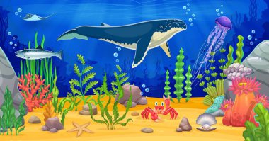 Okyanus hayvanlarıyla su altı oyun geçmişi. Manta ışını, yengeç, denizanası ve canlı mercan resifleri arasında yüzen ton balığı gibi kambur balina ve deniz hayvanlarıyla dolu vektör deniz manzarası