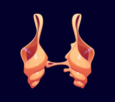 Okyanus kabuğu karikatür yazı tipi H. Sualtı yumuşakçaları çizgi film çocukları ABC font harfi, deniz kabuğu vektör sembolü. Mercan resifi midyesi İngiliz alfabesi yazı tipi ögesi veya yazı tipi işareti