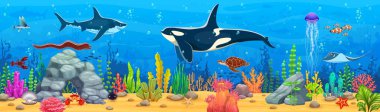 Katil balina ve vatoz, köpekbalığı ve deniz kaplumbağası, mercan resifleri ve deniz yosunlarıyla su altı manzara oyunu. Vector gui arayüz seviyesi canlı deniz yaşamı, su derinlikleri ve okyanus canlıları ile