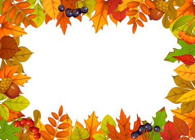 Autumn fall leaves, acorns and berries frame for seasonal holiday, vector banner. Autumn background with fall leaves frame, maple foliage and oak tree acorns, black rowanberry or fall berries harvest