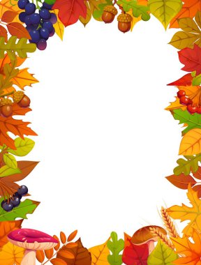 Autumn frame with season orange, yellow, green and red fall leaves combined with grapes, wheat and berries, acorns and forest mushrooms. Cartoon vector border template with colorful seasonal foliage