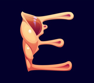 Deniz kabuğu karikatür yazı tipi E. Su altı yumuşakçaları deniz kabuğu yazı tipi işareti, deniz midyesi çizgi film vektörü çocuk ABC yazı dizisi sembolü. Okyanus kabuğu yazı tipi harfi ya da İngilizce alfabe tipi element