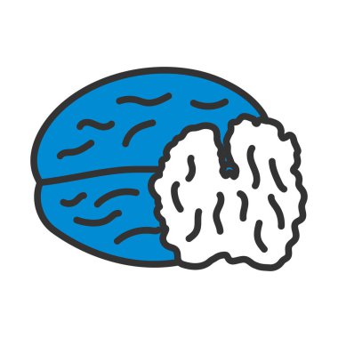 Ceviz Simgesi. Renk Doldurma Tasarımı ile Düzenlenebilir Kalın Tasarım. Vektör İllüstrasyonu.