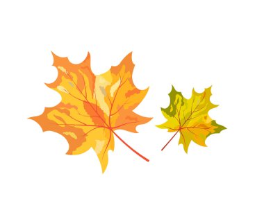 Sonbahar elementi büyük sonbahar tasarımı için. Vektör illüstrasyonu.