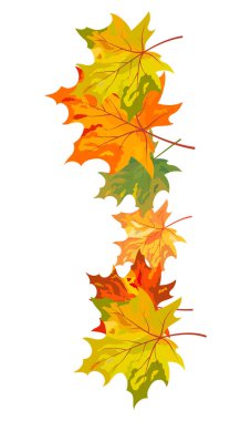 Sonbahar elementi büyük sonbahar tasarımı için. Vektör illüstrasyonu.