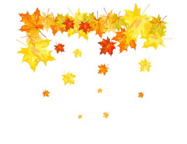 Sonbahar elementi büyük sonbahar tasarımı için. Vektör illüstrasyonu.