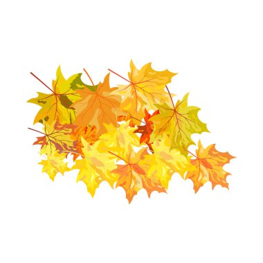 Sonbahar elementi büyük sonbahar tasarımı için. Vektör illüstrasyonu.