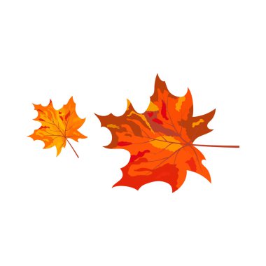 Sonbahar elementi büyük sonbahar tasarımı için. Vektör illüstrasyonu.