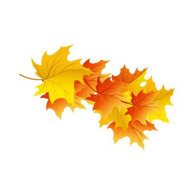 Sonbahar elementi büyük sonbahar tasarımı için. Vektör illüstrasyonu.