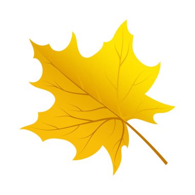 Sonbahar elementi büyük sonbahar tasarımı için. Vektör illüstrasyonu.